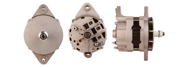 Alternator (500119654)