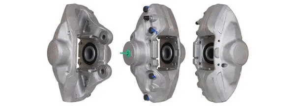Brake Caliper (4172320)