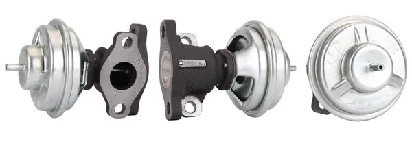 EGR Valve (717710173)