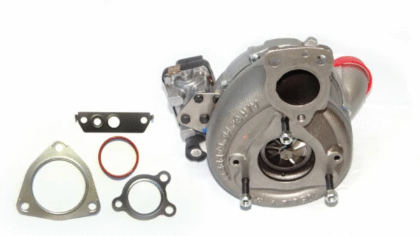 Charger, charging (supercharged/turbocharged) (729119380)