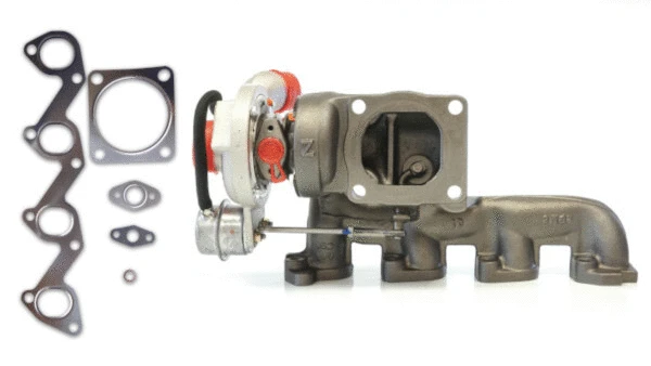 Charger, charging (supercharged/turbocharged) (729101700)