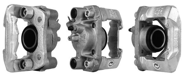 Brake Caliper (3113101)