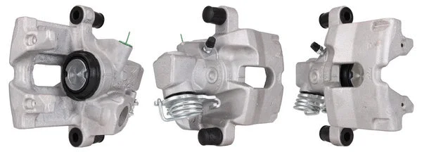 Brake Caliper (4220920)
