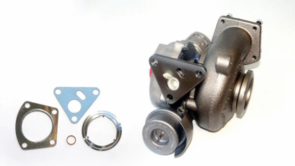 Charger, charging (supercharged/turbocharged) (729111490)