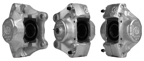 Brake Caliper (3187010)