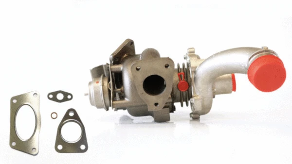 Charger, charging (supercharged/turbocharged) (729117160)