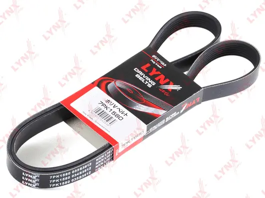 V-Ribbed Belt (7PK1580)