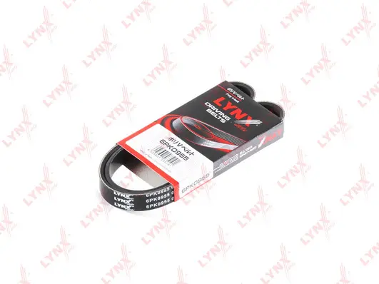 V-Ribbed Belt (6PK0955)