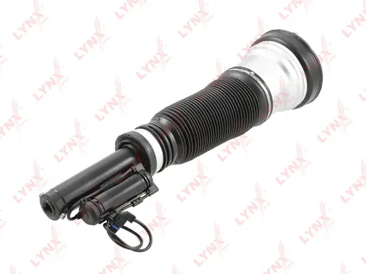 Air Suspension Strut (G42004LR)