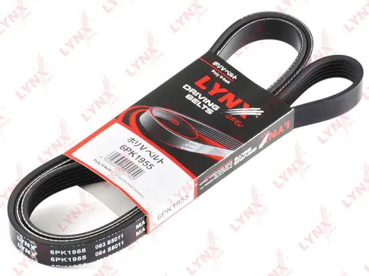 V-Ribbed Belt (6PK1955)