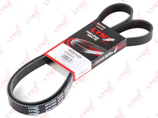 V-Ribbed Belt (6PK1605)