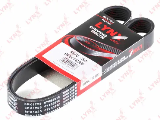 V-Ribbed Belt (8PK1225)