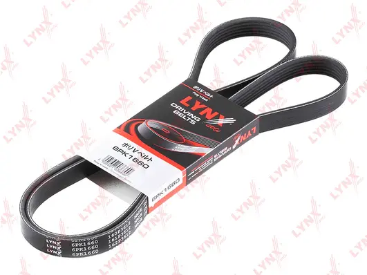 V-Ribbed Belt (6PK1660)