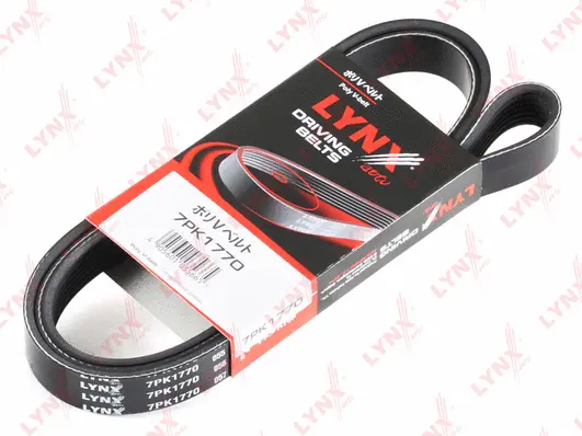 V-Ribbed Belt (7PK1770)