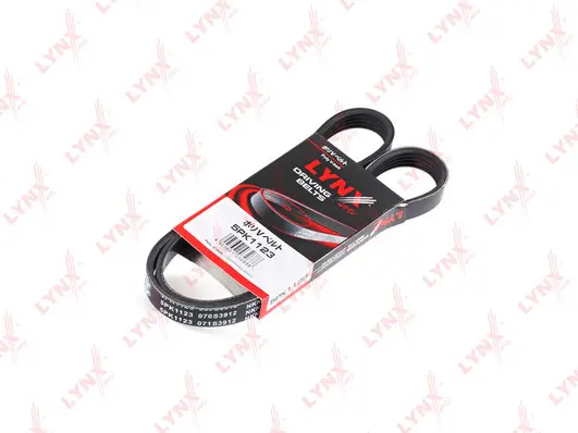 V-Ribbed Belt (5PK1123)