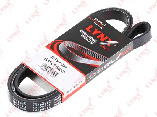 V-Ribbed Belt (6PK1623)