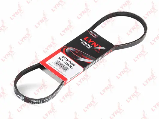 V-Ribbed Belt (3PK0800)