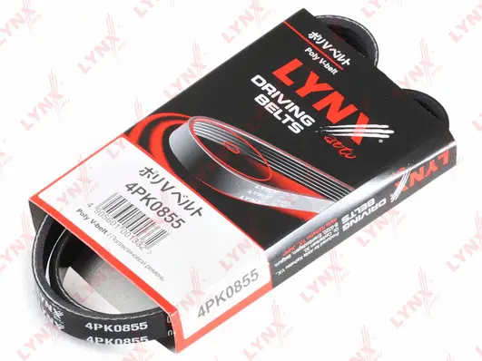V-Ribbed Belt (4PK0855)