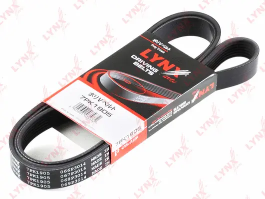 V-Ribbed Belt (7PK1905)