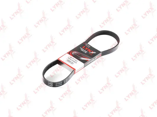 V-Ribbed Belt (6PK0893)