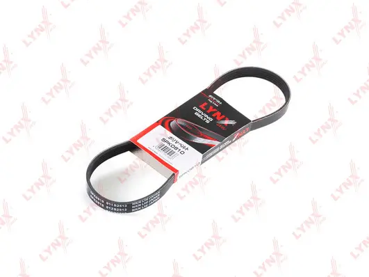 V-Ribbed Belt (5PK0810)