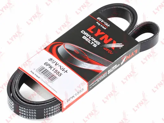 V-Ribbed Belt (6PK1555)