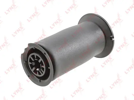 Air Spring, suspension (G41024LR)