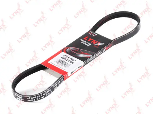 V-Ribbed Belt (4PK0795)