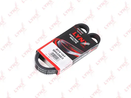 V-Ribbed Belt (5PK0923)