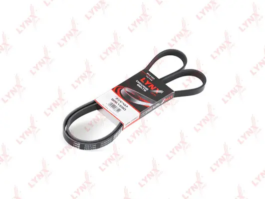 V-Ribbed Belt (5PK1590)