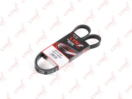 V-Ribbed Belt (5PK1200)