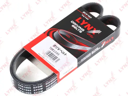 V-Ribbed Belt (7PK1095)