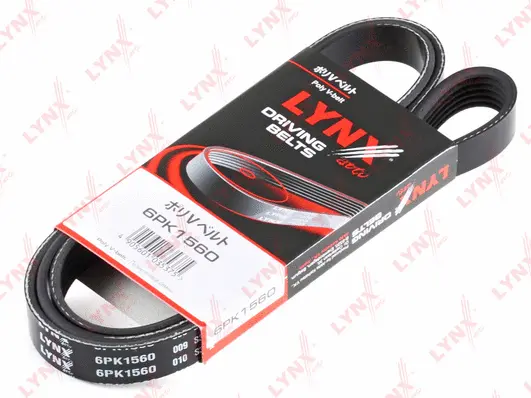 V-Ribbed Belt (6PK1560)