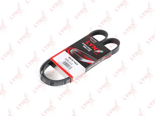 V-Ribbed Belt (5PK1113)