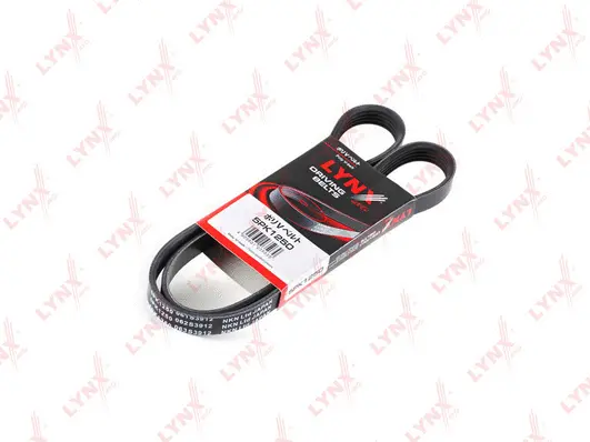 V-Ribbed Belt (5PK1250)