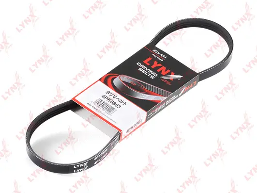 V-Ribbed Belt (4PK0803)