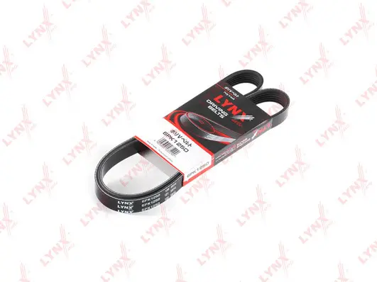 V-Ribbed Belt (6PK1250)