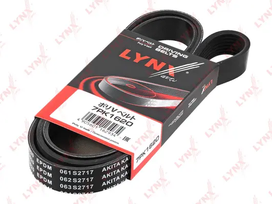 V-Ribbed Belt (7PK1620)