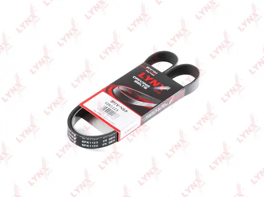 V-Ribbed Belt (6PK1123)