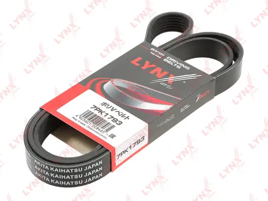 V-Ribbed Belt (7PK1793)