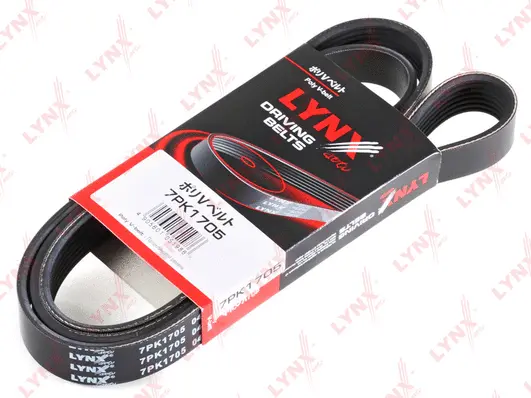 V-Ribbed Belt (7PK1705)