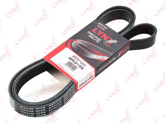 V-Ribbed Belt (8PK2155)