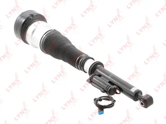 Air Suspension Strut (G42001R)