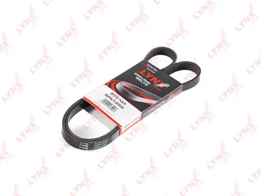 V-Ribbed Belt (5PK1255)