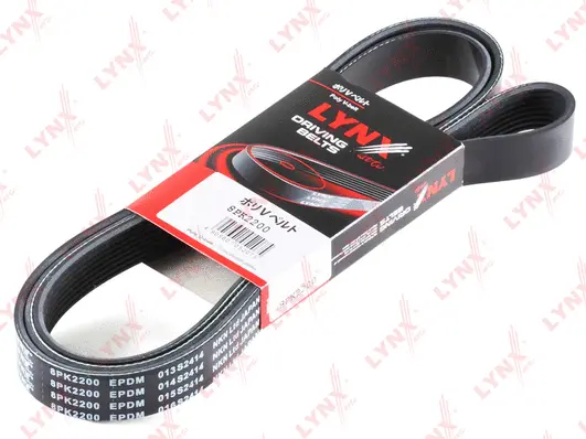 V-Ribbed Belt (8PK2200)