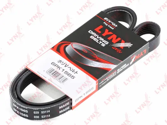 V-Ribbed Belt (6PK1565)
