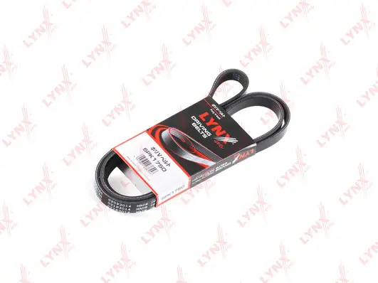 V-Ribbed Belt (5PK1750)