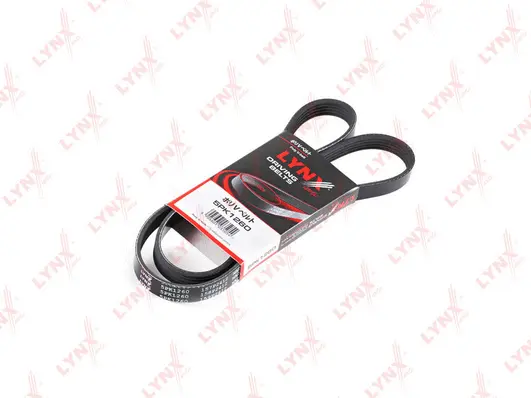 V-Ribbed Belt (5PK1260)