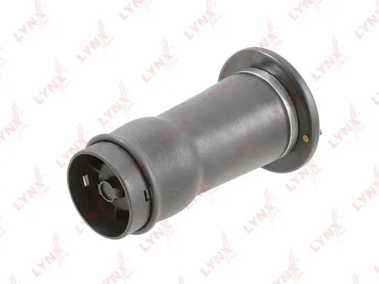 Air Spring, suspension (G41032LR)