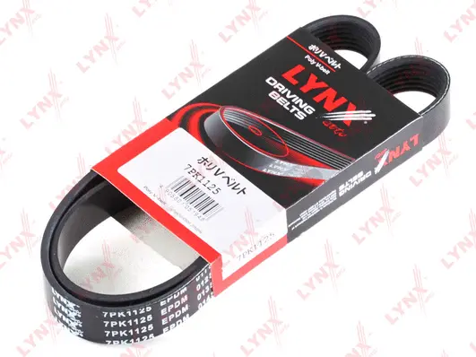 V-Ribbed Belt (7PK1125)